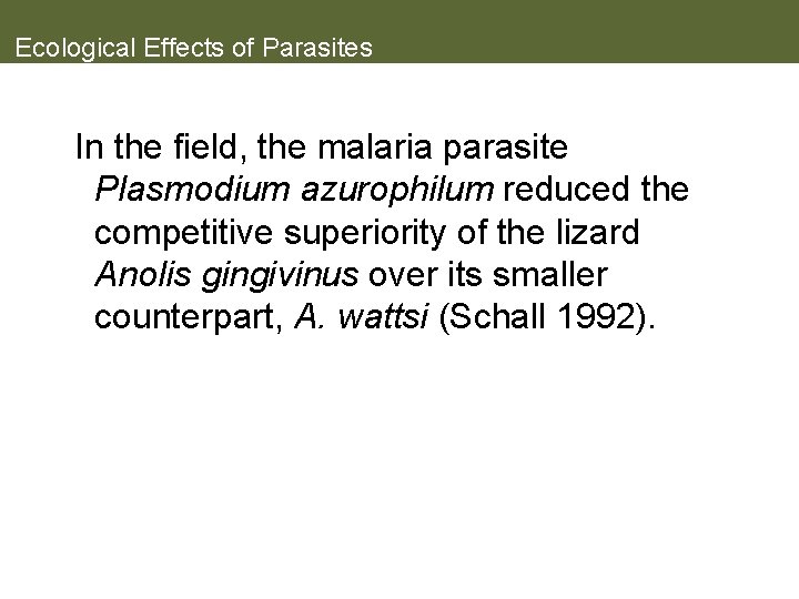 Ecological Effects of Parasites In the field, the malaria parasite Plasmodium azurophilum reduced the