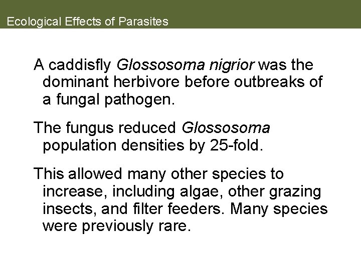 Ecological Effects of Parasites A caddisfly Glossosoma nigrior was the dominant herbivore before outbreaks
