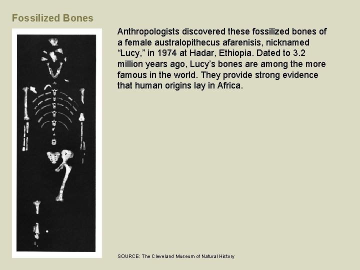 Africa Chapter 1 The Craftsmen of the Kingdom