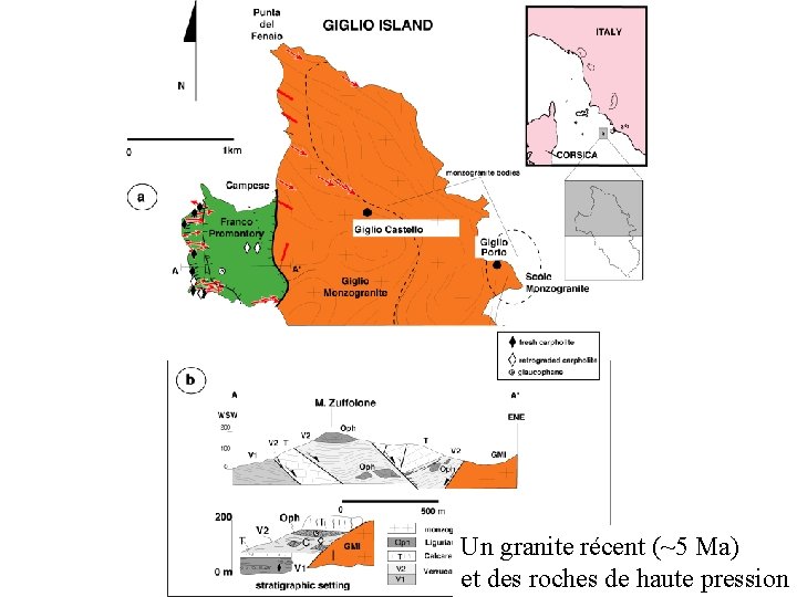 Un granite récent (~5 Ma) et des roches de haute pression 