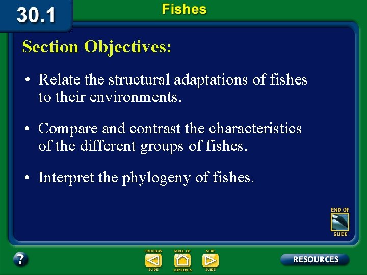 Section Objectives: • Relate the structural adaptations of fishes to their environments. • Compare