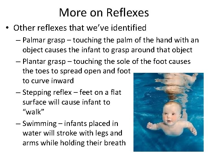 More on Reflexes • Other reflexes that we’ve identified – Palmar grasp – touching