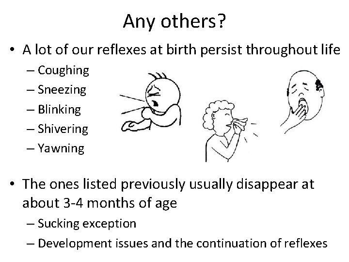 Any others? • A lot of our reflexes at birth persist throughout life –