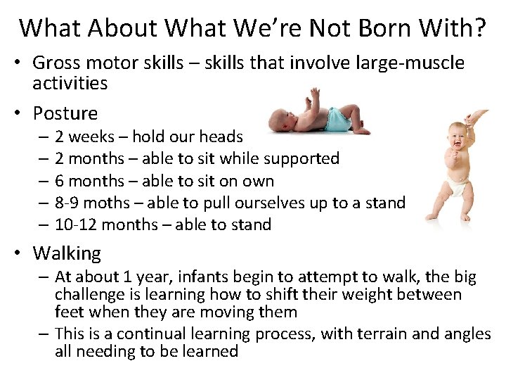 What About What We’re Not Born With? • Gross motor skills – skills that