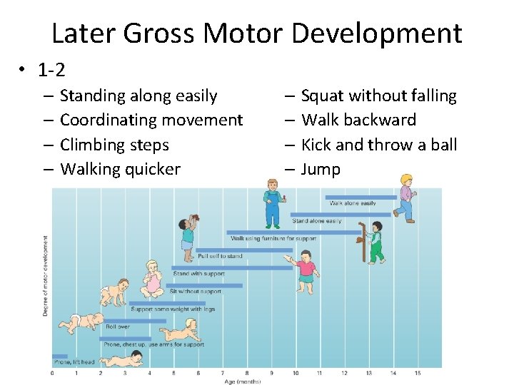 Later Gross Motor Development • 1 -2 – Standing along easily – Coordinating movement