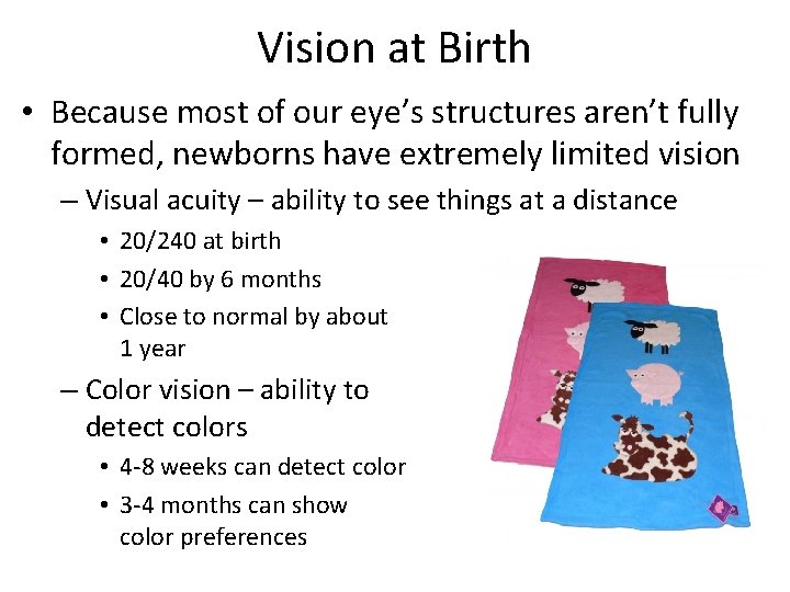 Vision at Birth • Because most of our eye’s structures aren’t fully formed, newborns