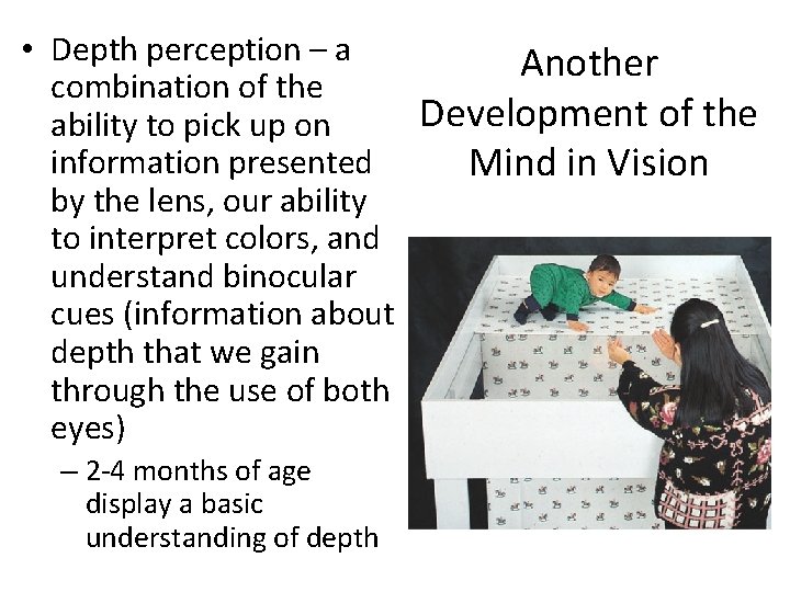  • Depth perception – a Another combination of the Development of the ability