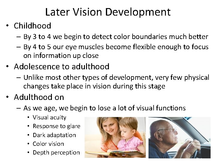 Later Vision Development • Childhood – By 3 to 4 we begin to detect