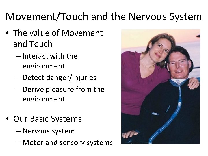 Movement/Touch and the Nervous System • The value of Movement and Touch – Interact