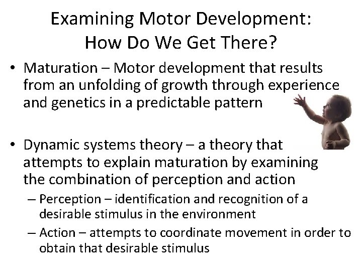 Examining Motor Development: How Do We Get There? • Maturation – Motor development that