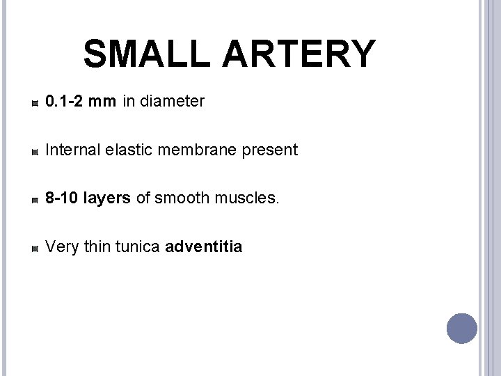 SMALL ARTERY 0. 1 -2 mm in diameter Internal elastic membrane present 8 -10