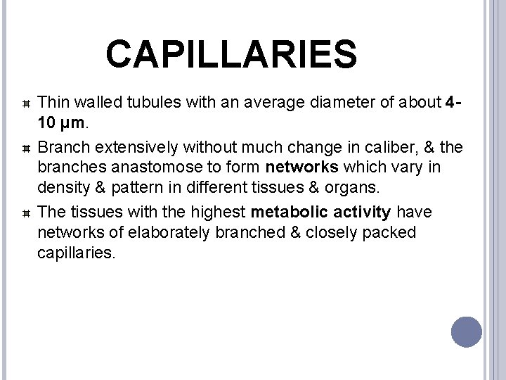 CAPILLARIES Thin walled tubules with an average diameter of about 410 µm. Branch extensively