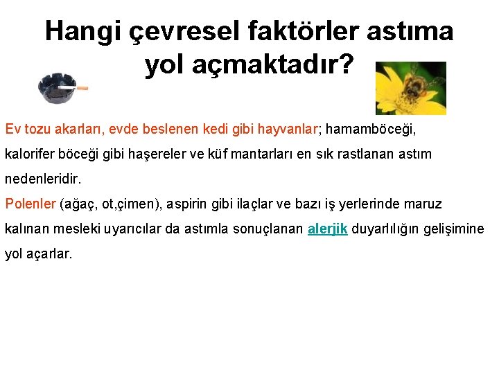 Hangi çevresel faktörler astıma yol açmaktadır? Ev tozu akarları, evde beslenen kedi gibi hayvanlar;