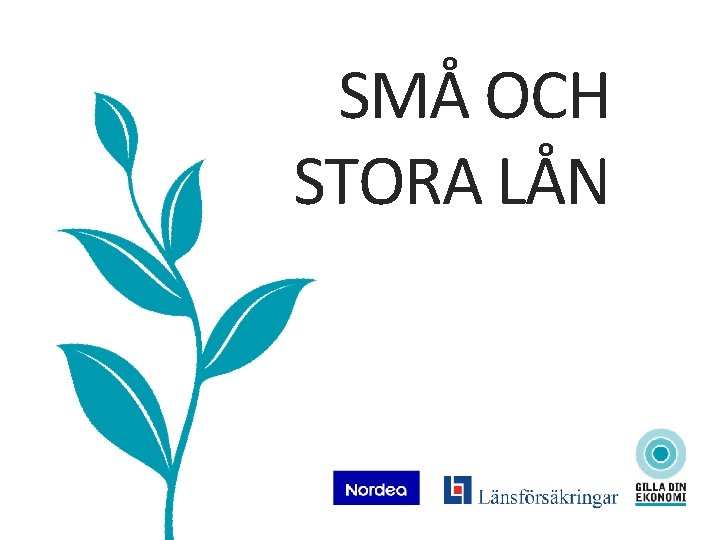 SMÅ OCH STORA LÅN 