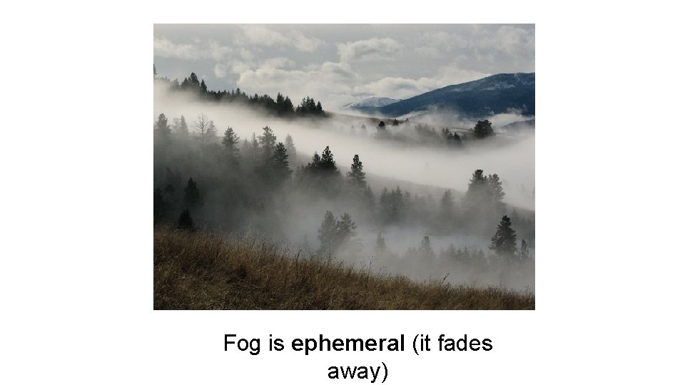 Fog is ephemeral (it fades away) Fog is ephemeral (it fades away)