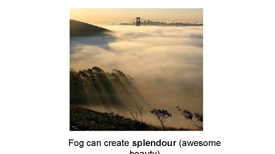 Fog can create splendour (awesome Fog can create splendour (awesome