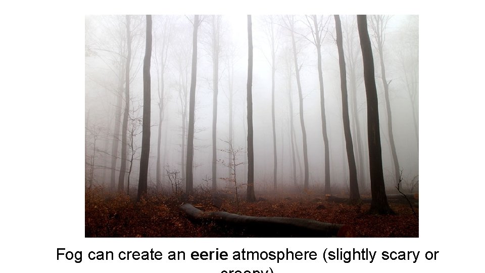 Fog can create an eerie atmosphere (slightly scary or Fog can create an eerie atmosphere (slightly scary or