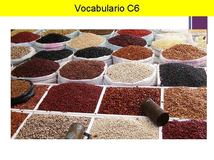 + Vocabulario C 6 