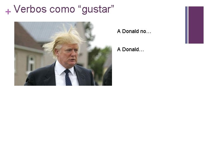 + Verbos como “gustar” A Donald no… A Donald… 