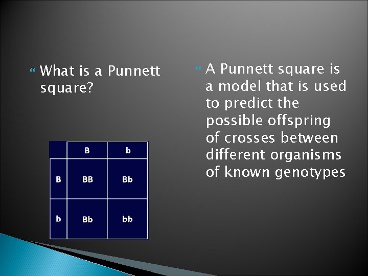 What is a Punnett square? A Punnett square is a model that is What is a Punnett square? A Punnett square is a model that is