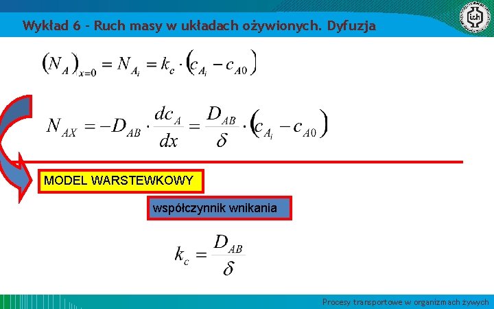 Wykład 6 – Ruch masy w układach ożywionych. Dyfuzja MODEL WARSTEWKOWY współczynnik wnikania Procesy