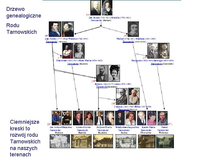 Drzewo genealogiczne Rodu Tarnowskich Ciemniejsze kreski to rozwój rodu Tarnowskich na naszych terenach 