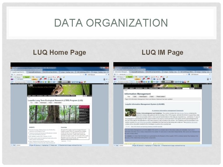 DATA ORGANIZATION LUQ Home Page LUQ IM Page 
