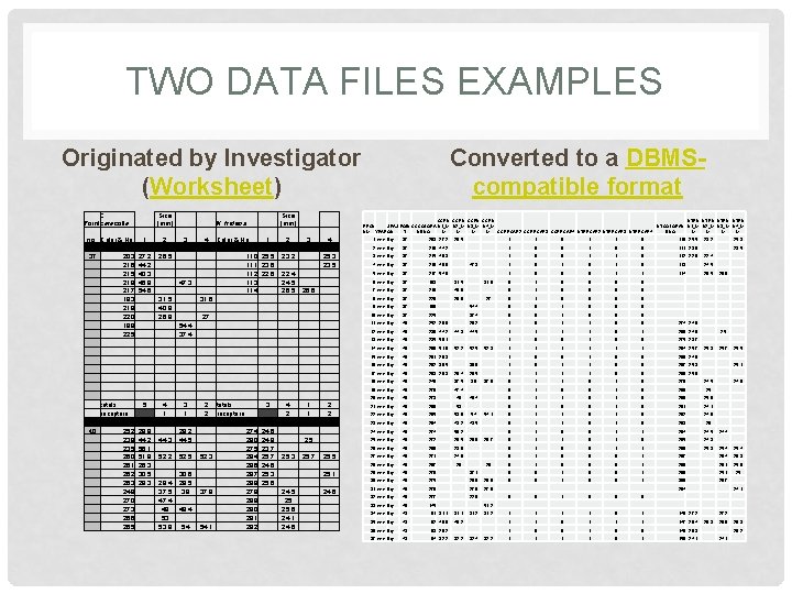 TWO DATA FILES EXAMPLES Originated by Investigator (Worksheet) C. Pointcaracolla no. Color & No.