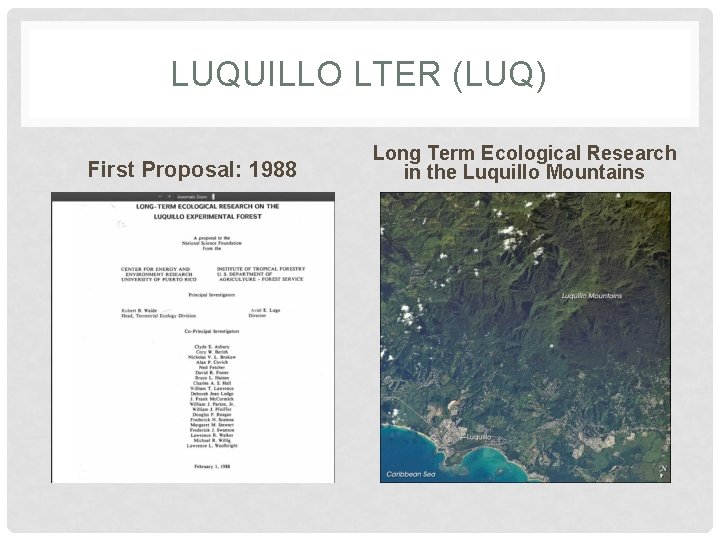 LUQUILLO LTER (LUQ) First Proposal: 1988 Long Term Ecological Research in the Luquillo Mountains
