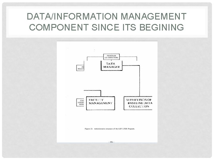 DATA/INFORMATION MANAGEMENT COMPONENT SINCE ITS BEGINING 