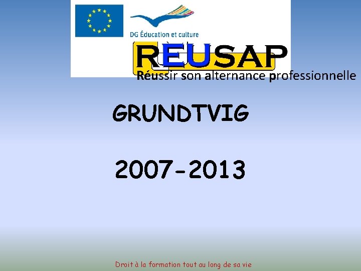 Réussir son alternance professionnelle GRUNDTVIG 2007 -2013 Droit à la formation tout au long