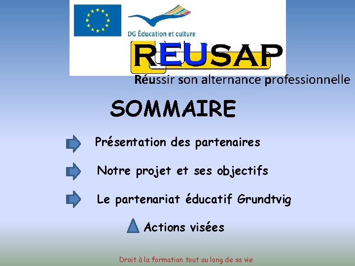 Réussir son alternance professionnelle SOMMAIRE Présentation des partenaires Notre projet et ses objectifs Le