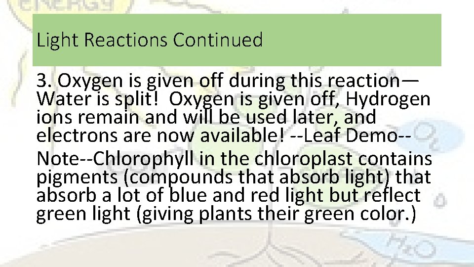 Light Reactions Continued 3. Oxygen is given off during this reaction— Water is split!