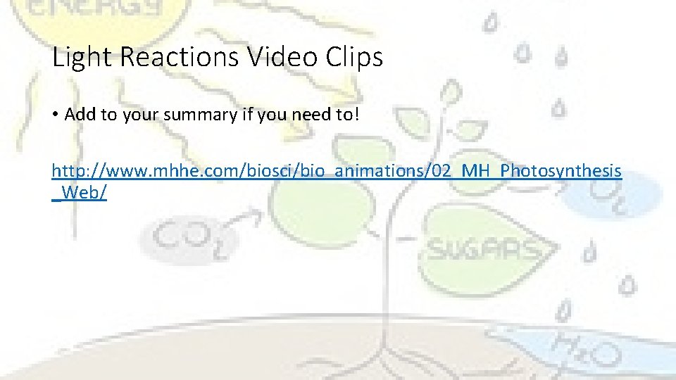 Light Reactions Video Clips • Add to your summary if you need to! http: