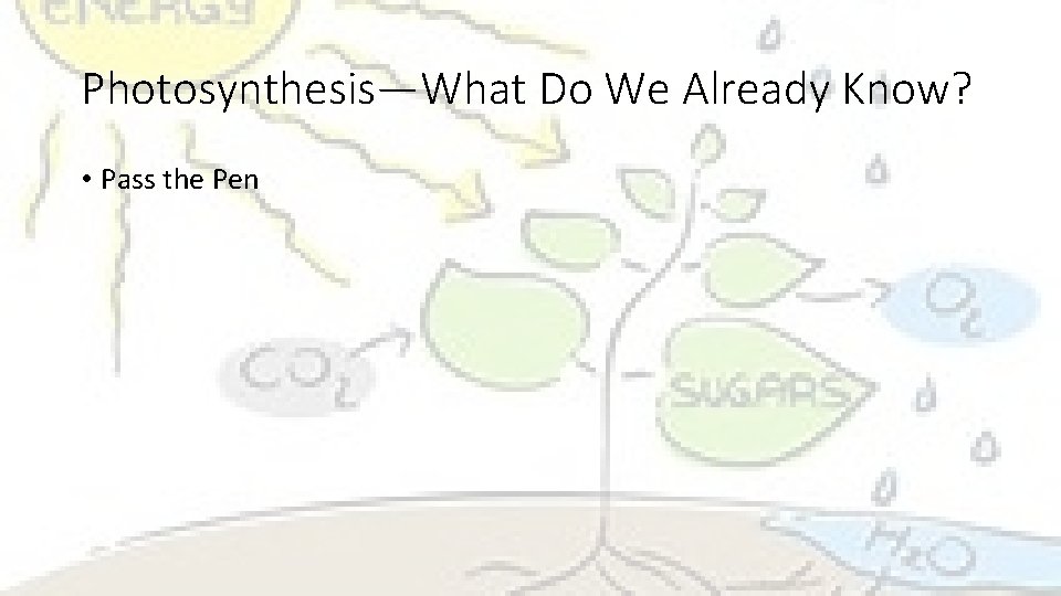 Photosynthesis—What Do We Already Know? • Pass the Pen 