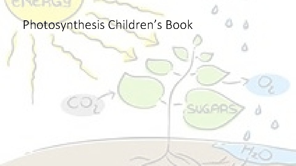 Photosynthesis Children’s Book 