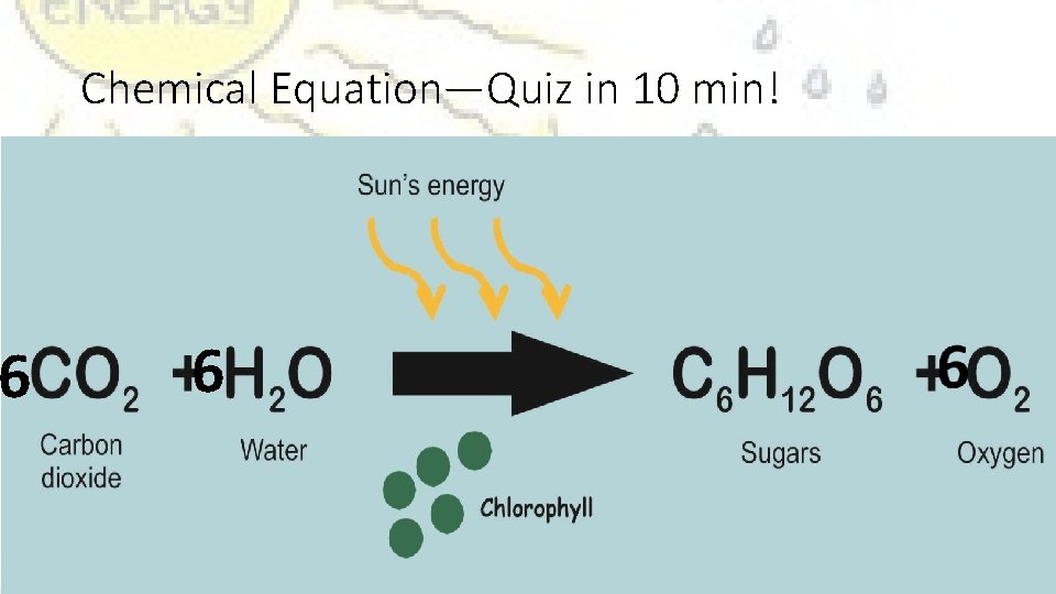 6 Chemical Equation—Quiz in 10 min! 6 