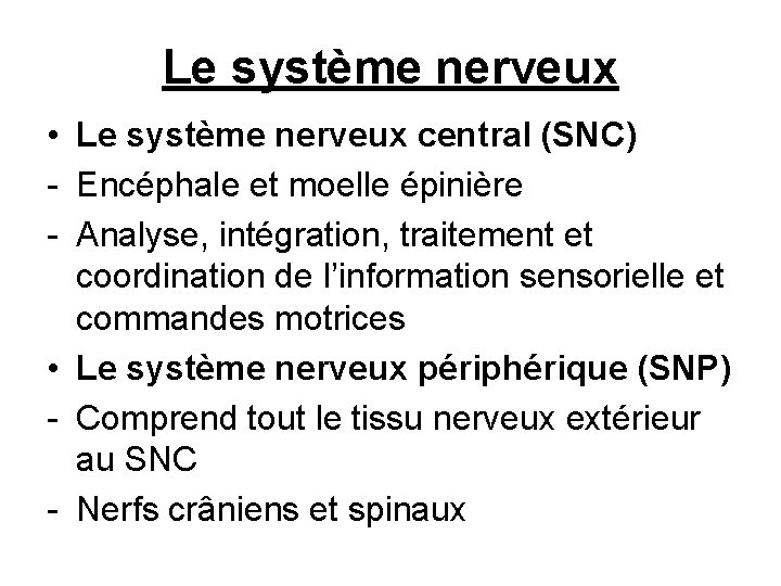 Le système nerveux • Le système nerveux central (SNC) - Encéphale et moelle épinière