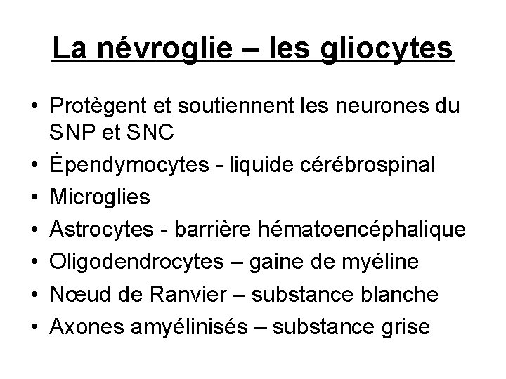 La névroglie – les gliocytes • Protègent et soutiennent les neurones du SNP et