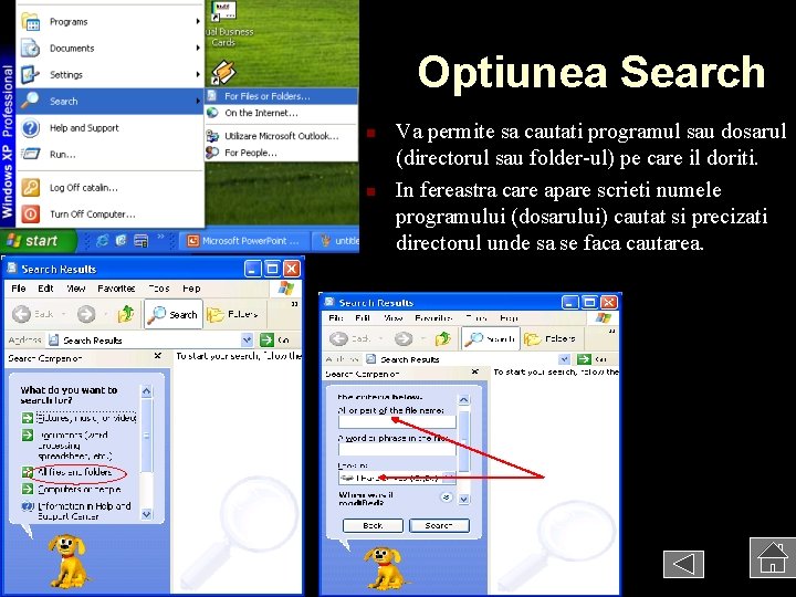 Optiunea Search n n Va permite sa cautati programul sau dosarul (directorul sau folder-ul)