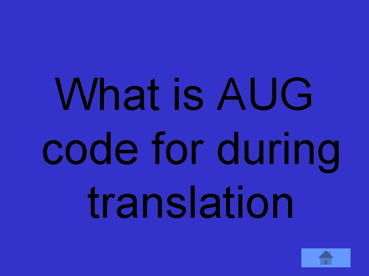 What is AUG code for during translation 