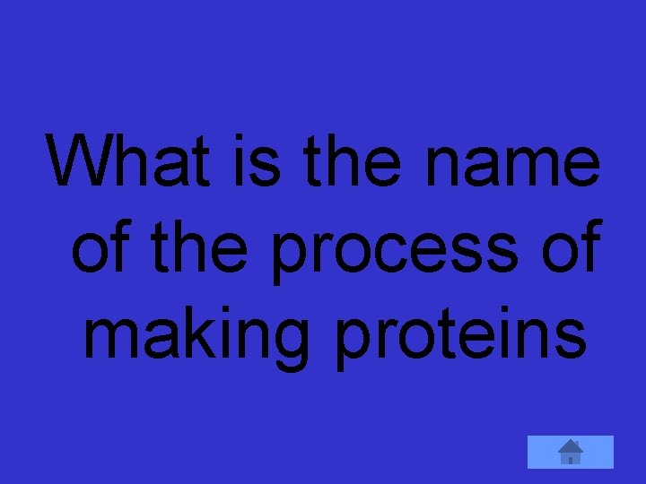 What is the name of the process of making proteins 