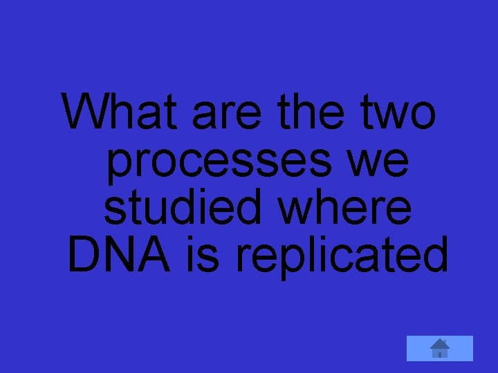 What are the two processes we studied where DNA is replicated 