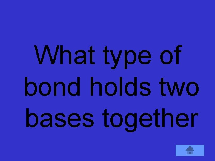 What type of bond holds two bases together 