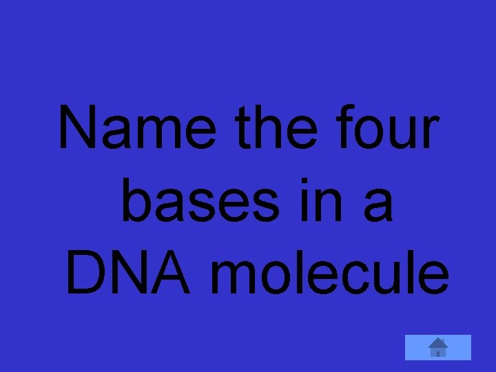 Name the four bases in a DNA molecule 