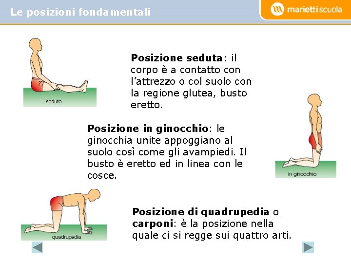 Le posizioni fondamentali Posizione seduta: il corpo è a contatto con l’attrezzo o col