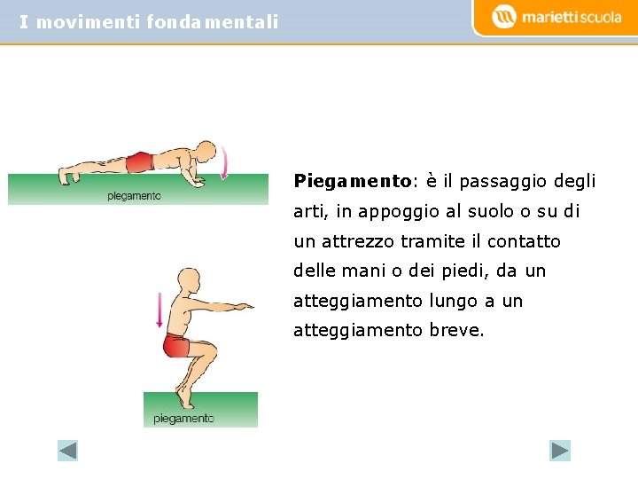 I movimenti fondamentali Piegamento: è il passaggio degli arti, in appoggio al suolo o