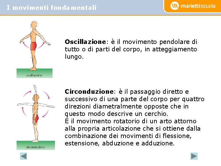 I movimenti fondamentali Oscillazione: è il movimento pendolare di tutto o di parti del