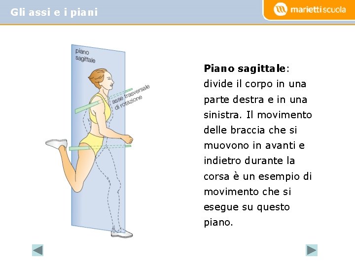 Gli assi e i piani Piano sagittale: divide il corpo in una parte destra