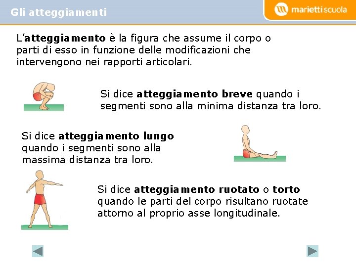 Gli atteggiamenti L’atteggiamento è la figura che assume il corpo o parti di esso